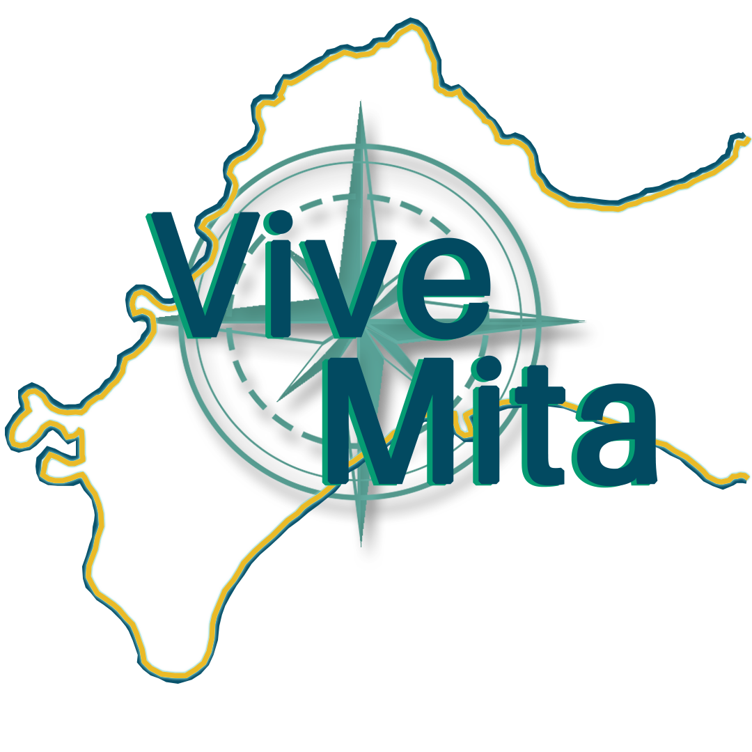 Logo of vive mita